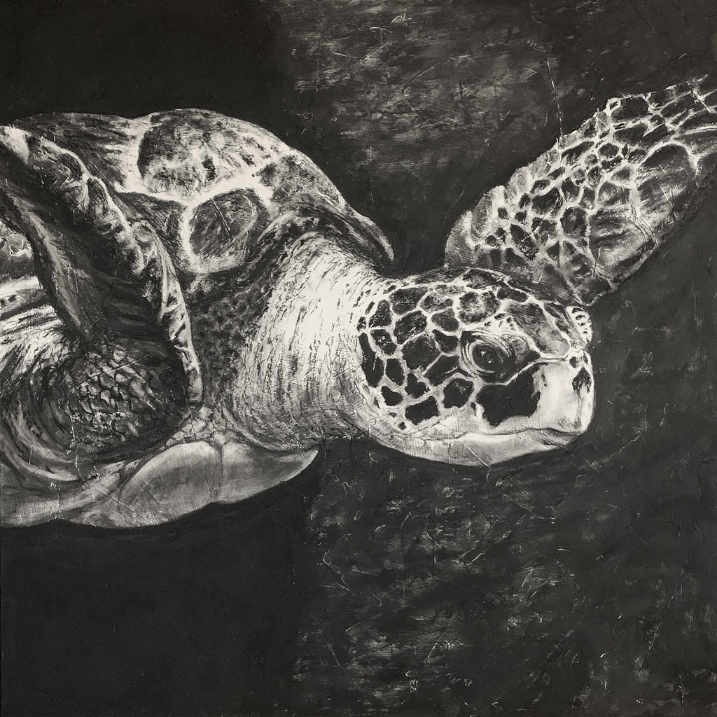 "Sea Turtle Love" original sea turtle artwork - charcoal drawing by Gina Stogran